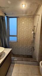 The Lakeshore (D22), Condominium #608058721